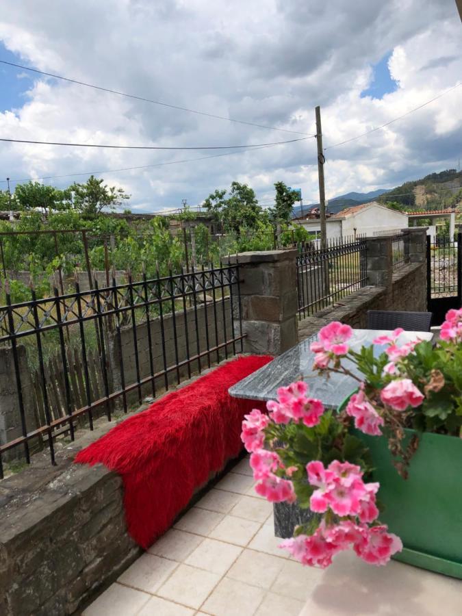 Adriatik Guesthouse Πρεμετή Εξωτερικό φωτογραφία